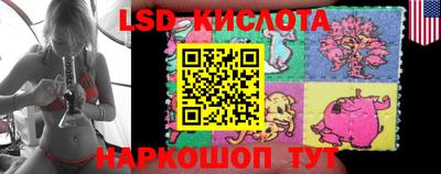 крисы Канаш