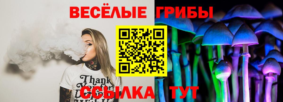 Псилоцибиновые грибы MAGIC MUSHROOMS  Псилоцибиновые грибы Cubensis  Шелехов  Вход с VPN 