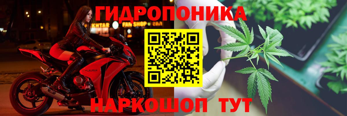 МАРИХУАНА Ganja  Шишки марихуана Amnesia  Шелехов  Вход с VPN  Каннабис AK-47  Шишки марихуана планчик 
